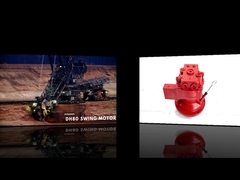 Swing Motor For DH80 Excavator